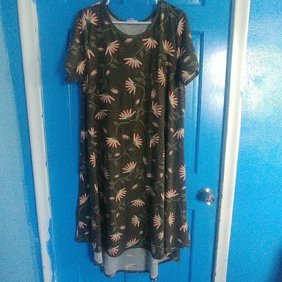 LuLaRoe Dresses & Skirts - LulaRoe Carly Dress